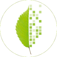 Bits und Bäume Logo