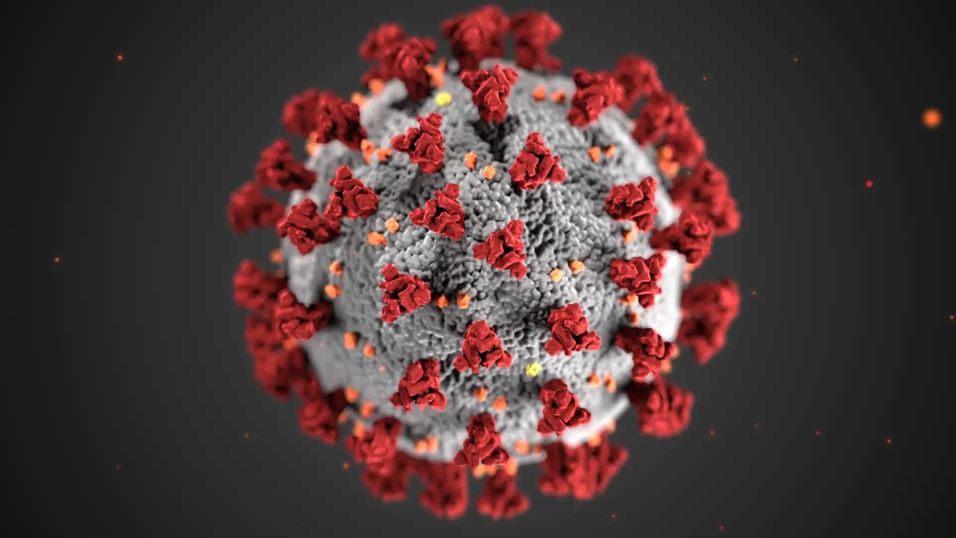 Illustration eines Coronavirus (SARS-CoV-2), erstellt von den Centers for Disease Control and Prevention (CDC). Die kugelförmige Viruspartikel-Oberfläche ist grau dargestellt und mit zahlreichen roten, keulenförmigen Spikes (Proteinstrukturen) besetzt, die dem Virus unter dem Elektronenmikroskop das charakteristische Aussehen einer „Krone“ verleihen.